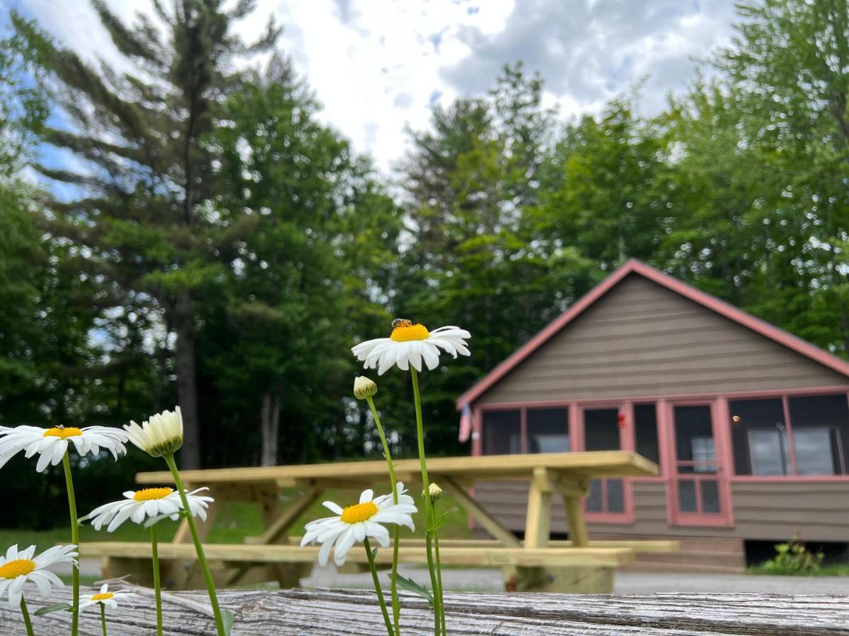Indian Lake Adirondack Lake Cabins酒店 外观 照片